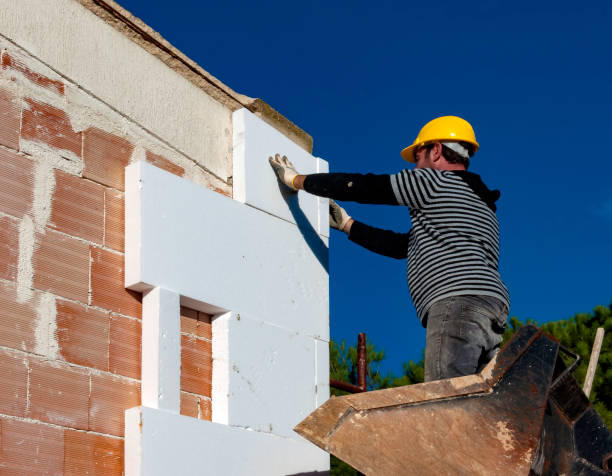Best Specialty Insulation in Norwood Young America, MN