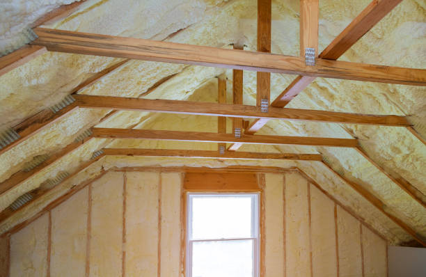 Best Insulation Installation Services in Norwood Young America, MN